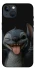 Чехол на Apple iPhone 13 (6.1") Stitch фото 1 из 1