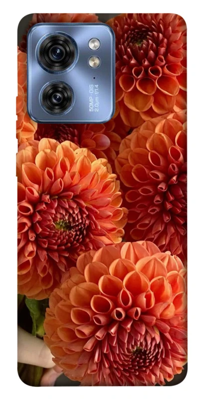 Чохол на Motorola Edge 40 Flower1 фото 1 з 1