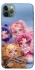 Чохол на Apple iPhone 11 Pro Max (6.5") SKULLPANDA × My Little Pony Ver.1 фото 1 з 1