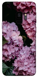 Чохол на Samsung Galaxy S9 Рожеві гартензії фото 1 з 1