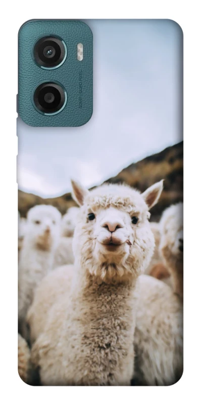 Чехол на Motorola Moto G06 Лама фото 1 из 1