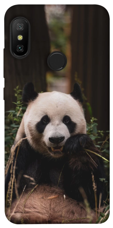 Чохол на Xiaomi Mi A2 Lite / Xiaomi Redmi 6 Pro Панда фото 1 з 1