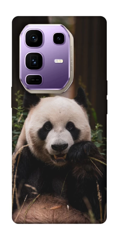 Чохол на Infinix Note 50 Pro+ Панда фото 1 з 1