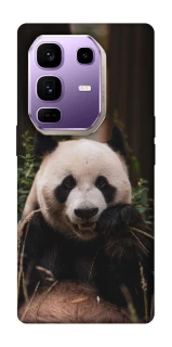 Чехол на Infinix Note 50 Pro+ Панда фото 1 из 1