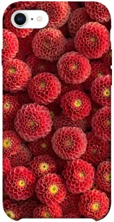 Чехол на Apple iPhone SE (2020) Midnight1 фото 1 из 1