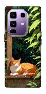 Чехол на Infinix Note 50 Pro+ red cat фото 1 из 1