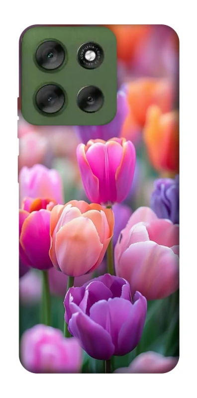 Чохол на Motorola Moto G56 5G Тюльпанове поле фото 1 з 1