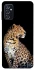 Чехол на Samsung Galaxy M52 Leopard v2 фото 1 из 1