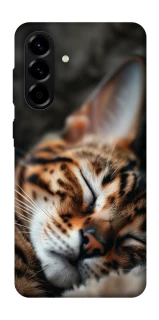 Чехол на Samsung Galaxy A56 5G Cat paws фото 1 из 1