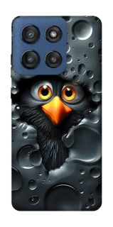 Чохол на Motorola Edge 60 Stylus Ну привіт ! фото 1 з 1