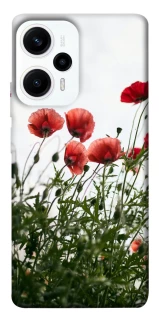 Чохол на Xiaomi Poco F5 / Note 12 Turbo Поле маків фото 1 з 1