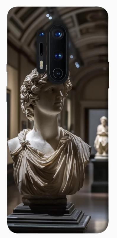 Чехол на OnePlus 8 Pro statue фото 1 из 1
