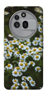 Чехол на Nothing Phone (3a) Pro Ромашки v13 фото 1 из 1