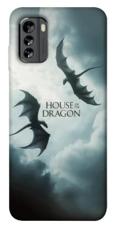 Чехол на Nokia G60 House of the Dragon ver.5 фото 1 из 1
