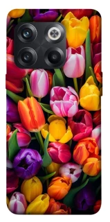 Чехол на OnePlus 10T Flowers v30 фото 1 из 1