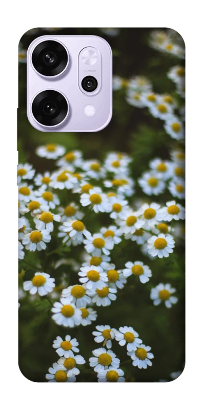 Чехол на Oppo Reno 14 Pro Ромашки v13 фото 1 из 1