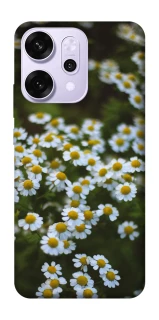 Чехол на Oppo Reno 14 Pro Ромашки v13 фото 1 из 1