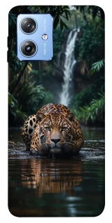 Чехол на Motorola Moto G84 Leopard in water фото 1 из 1