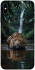 Чохол на Apple iPhone X (5.8") Leopard in water фото 1 з 1