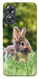 Чехол на Oppo A17 Кролики фото 1 из 1