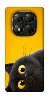 Чохол на Xiaomi Poco X7 This is Cat фото 1 з 1