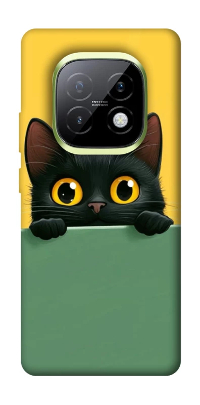 Чохол на Realme Narzo 70 Turbo Black cat v2 фото 1 з 1