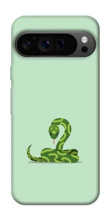 Чохол на Google Pixel 9 Pro Змійка фото 1 з 1