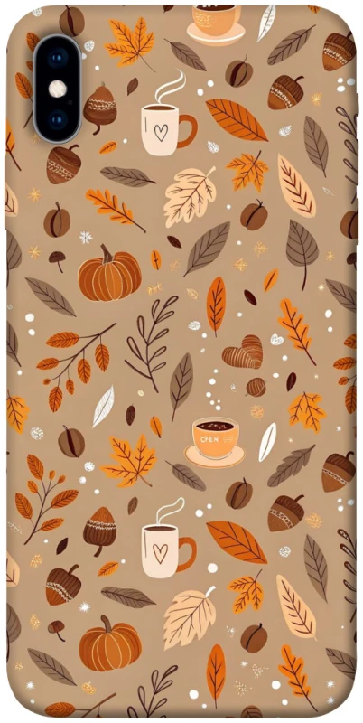 Чохол на Apple iPhone X (5.8") Autumn vibes ver.6 фото 1 з 1