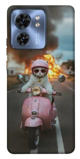 Чохол на Motorola Edge 40 Exploding Kittens ver.3 фото 1 з 1