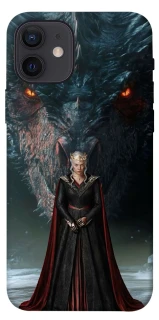 Чехол на Apple iPhone 12 (6.1") House of the Dragon ver.7 фото 1 из 1