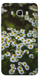 Чехол на Samsung J710F Galaxy J7 (2016) Ромашки v13 фото 1 из 1