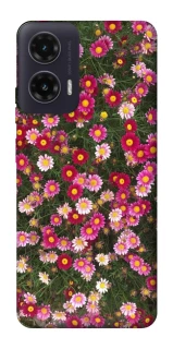 Чохол на Motorola Moto G35 Flowers v8 фото 1 з 1