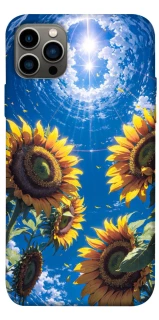 Чехол на Apple iPhone 12 Pro (6.1") Sunflowers фото 1 из 1