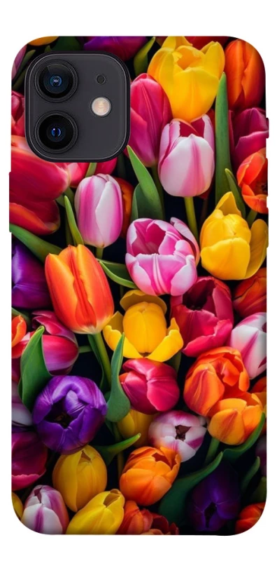 Чехол на Apple iPhone 12 mini (5.4") Flowers v30 фото 1 из 1