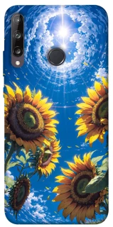 Чохол на Huawei P40 Lite E Sunflowers фото 1 з 1