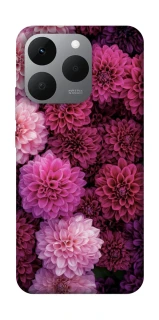 Чехол на Realme 15T Garden1 фото 1 из 1