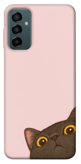 Чехол на Samsung Galaxy M13 4G Peeping cat фото 1 Чехол на Samsung Galaxy M13 4G Peeping cat фото 1 из 1