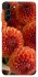 Чохол на Samsung Galaxy S21+ Flower1 фото 1 з 1