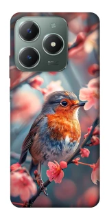 Чехол на Realme C61 Birdie фото 1 из 1