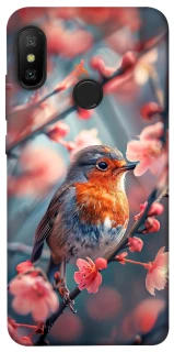Чохол на Xiaomi Mi A2 Lite / Xiaomi Redmi 6 Pro Birdie фото 1 з 1