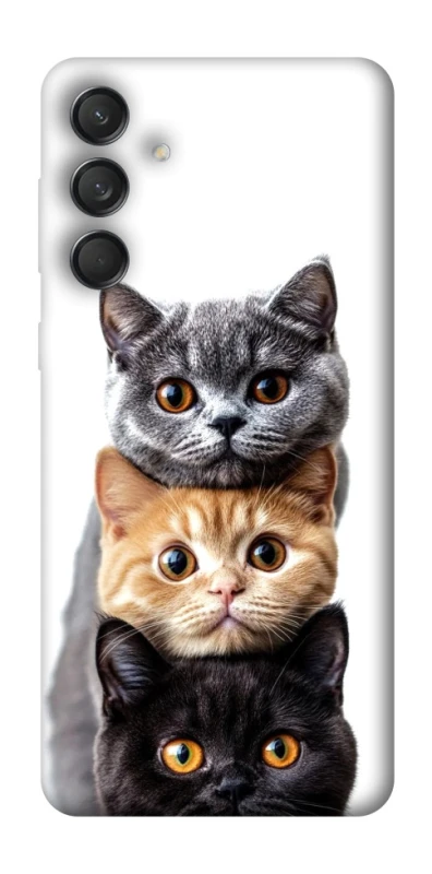 Чохол на Samsung Galaxy M55 Гарні котики фото 1 з 1