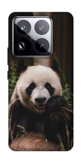 Чехол на Xiaomi 15 Pro Панда фото 1 из 1