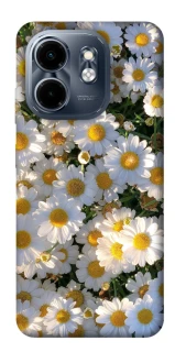 Чохол на Infinix Smart 9 4G / Hot 50i Поле ромашок фото 1 Чохол на Infinix Smart 9 4G / Hot 50i Поле ромашок фото 1 з 1