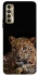 Чохол на TECNO Camon 17P Leopard v4 фото 1 з 1