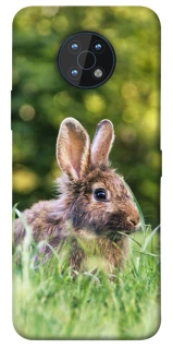 Чохол на Nokia G50 Кролики фото 1 з 1