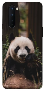 Чехол на OnePlus Nord Панда фото 1 из 1