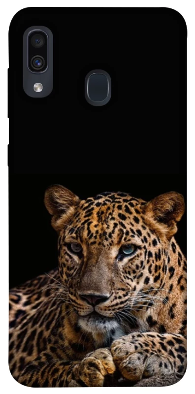 Чохол на Samsung Galaxy A20 / A30 Leopard v4 фото 1 з 1