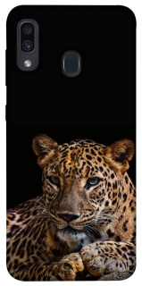 Чохол на Samsung Galaxy A20 / A30 Leopard v4 фото 1 з 1