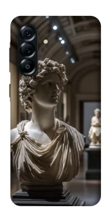 Чохол на Samsung Galaxy A57 5G statue фото 1 з 1