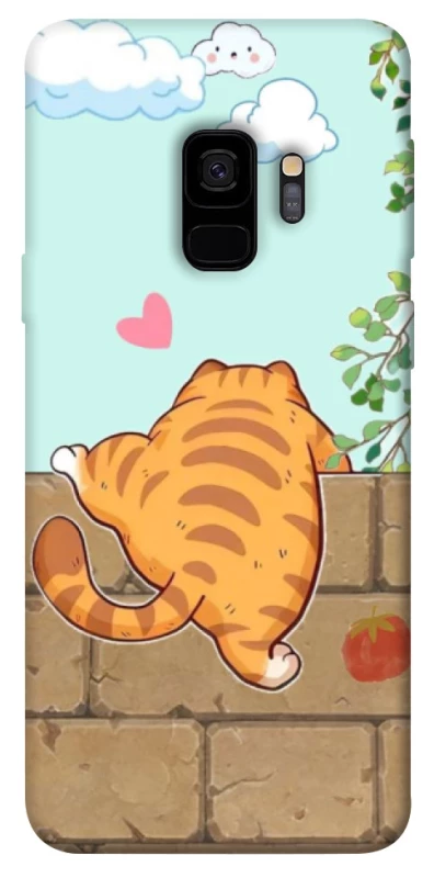 Чехол на Samsung Galaxy S9 Cat the meow фото 1 из 1